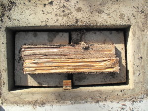 Termite damage in untreated control