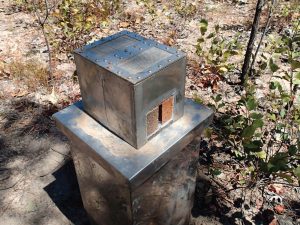 The Weepa Termite Protector trial set up