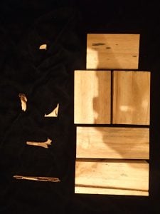 Wood damage level in unprotected and protected weep holes