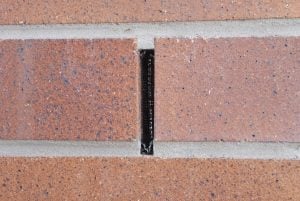 Termite Protector in weep hole