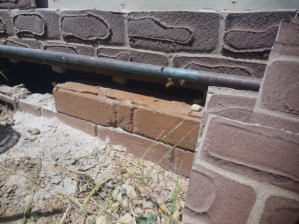 Entry point to sub-floor bee nest image