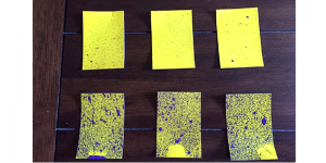 Spray characteristics are important to get the correct coverage for mosquito treatments