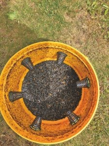 Fly-Free Trap filled with flies