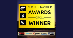 Awards feature image