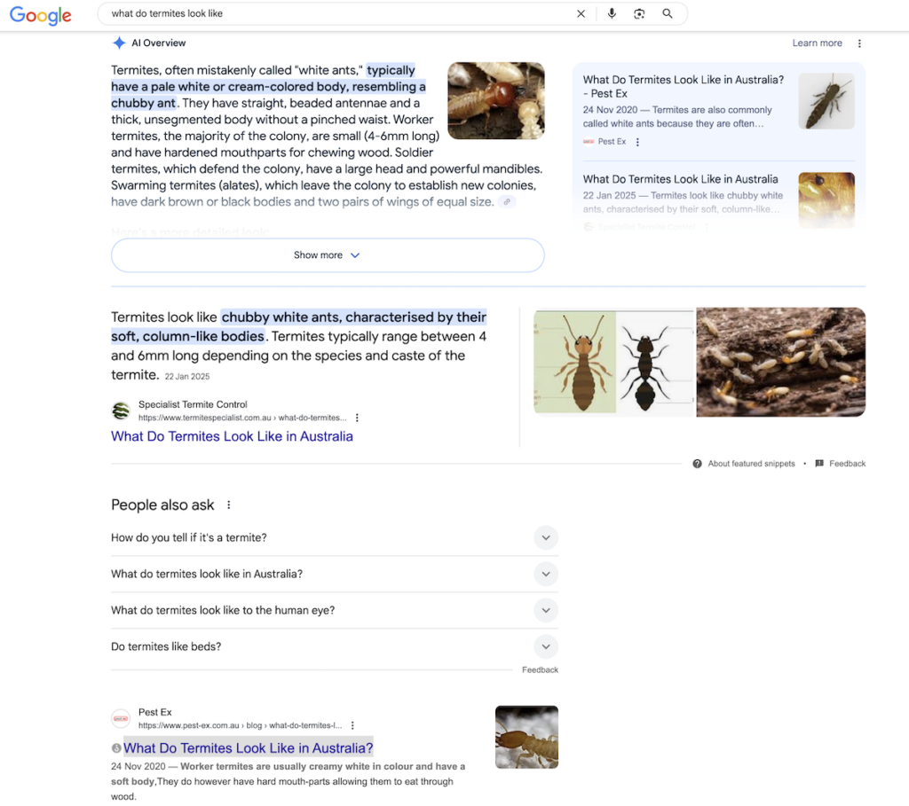 Informational search AI SERP