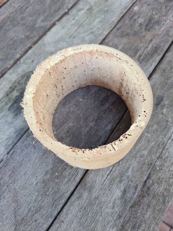 Bamboo borer damage