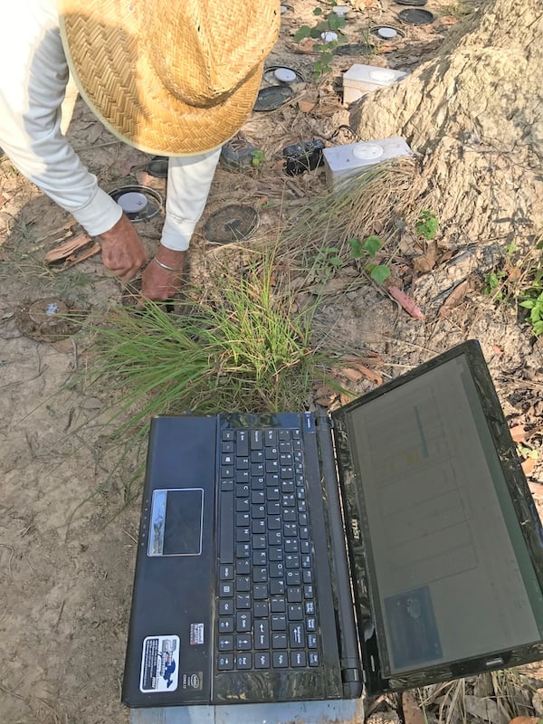 Field trials with Termisensor