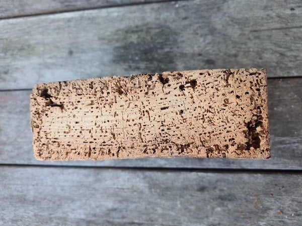 Furniture beetle damage