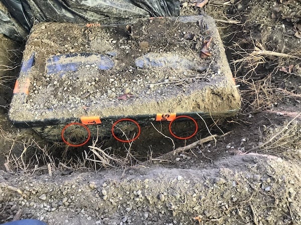 Plastic tubs containing foam samples, with holes in the side to allow termite access