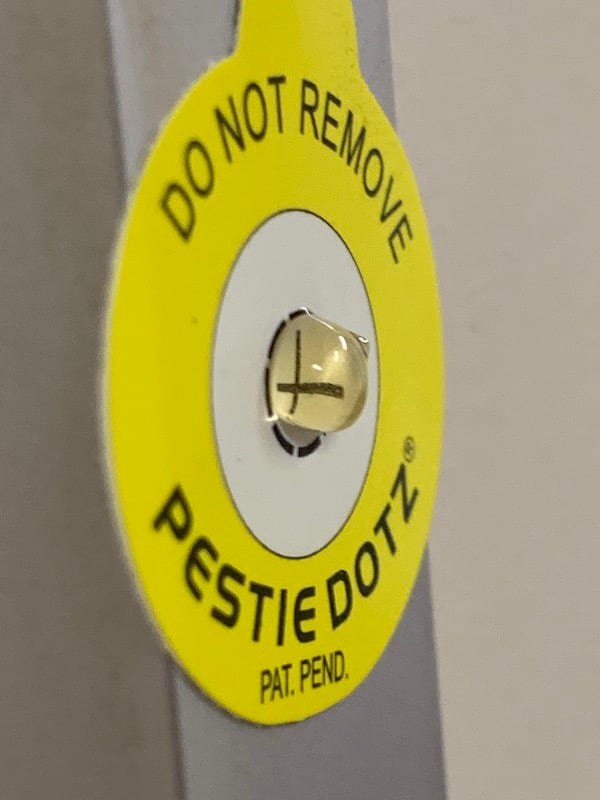 cockroach bait on a paper circle