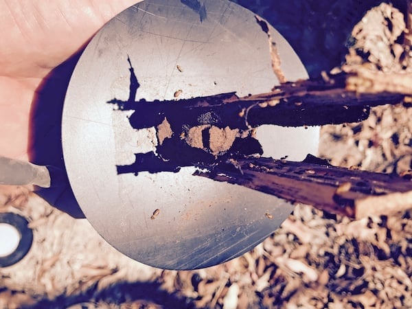 TermiSensor attached to wood monitors eaten out
