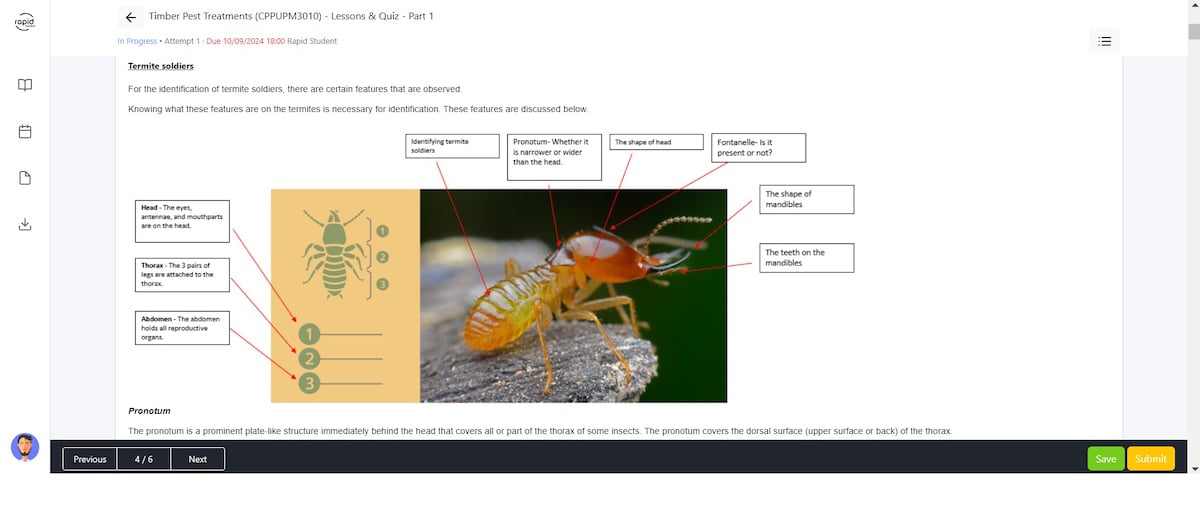 screenshot from a Rapid Training online course