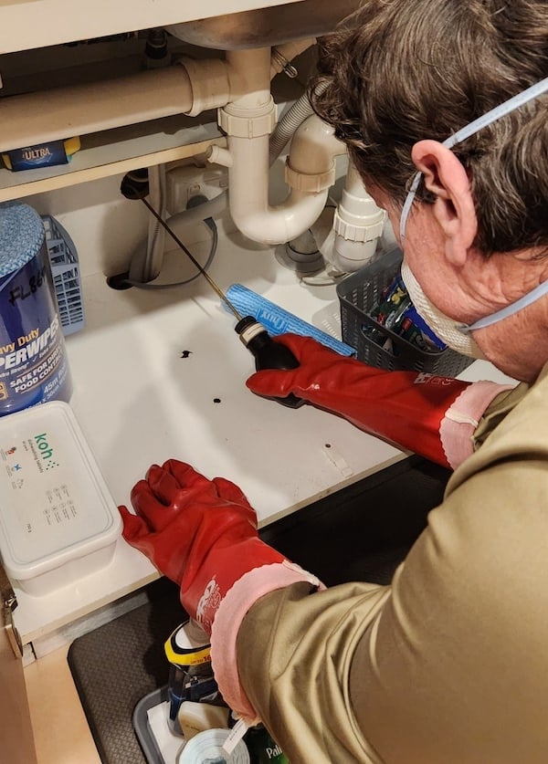 Pest manager using an insecticide dust