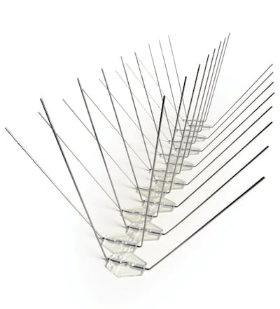 Metal bird spikes on white background