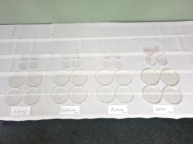 Test arenas for science experiment