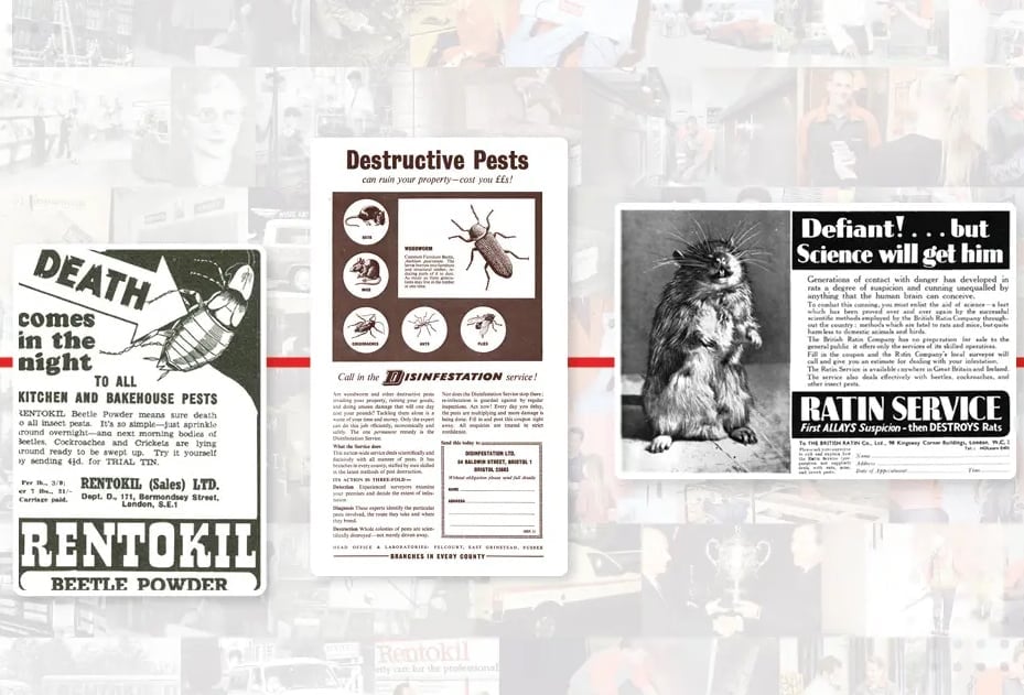 Examples of Rentokil newspaper adverts from the 1930s
