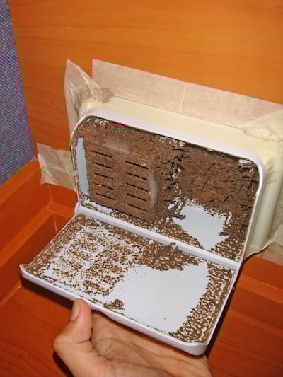 Termite bait station that has been opened to show termite activity inside