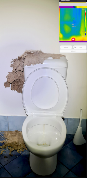 Termite mudding around a toilet