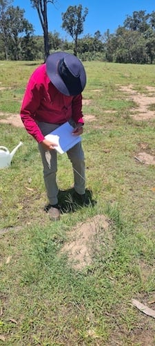 Man holding a clipboard looking at an ants' nest 