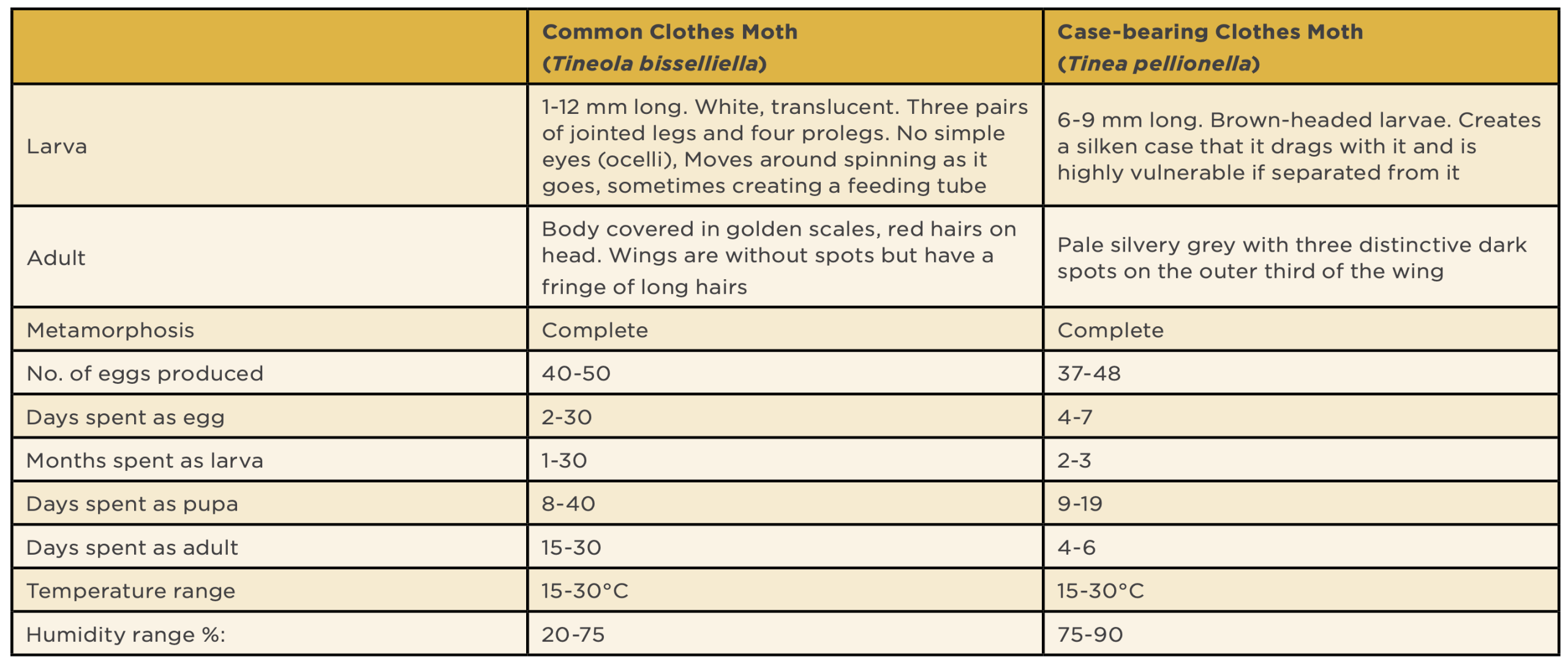 Moth life cycle table