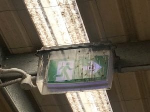 Exit sign covered in bird droppings