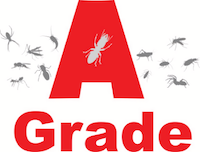A Grade Pest Management