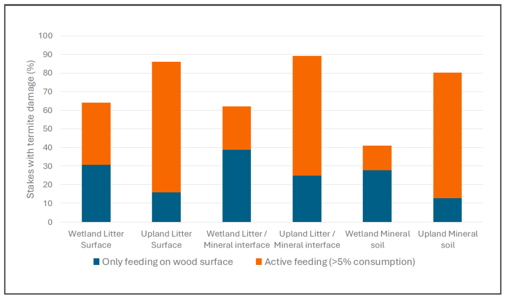 Table showing level of damage in red maple wood placed at three different levels in the soil profile