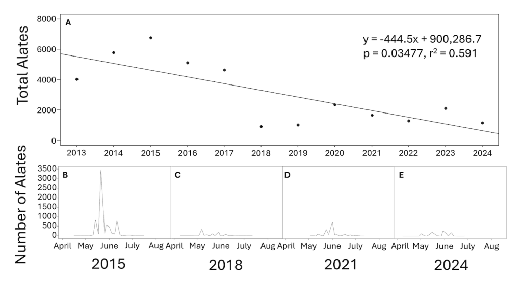 Graph showing number of termites recorded in traps