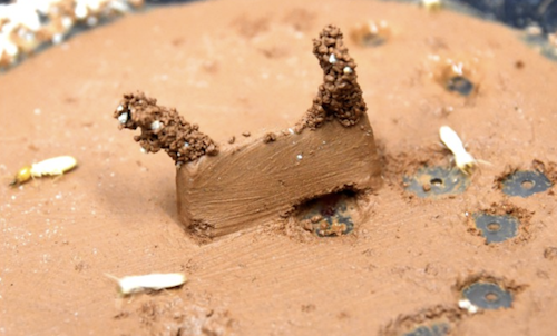 Termites building a wall