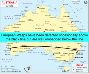 Map showing distribution of European wasps in Australia