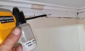 Applying FipForce dust