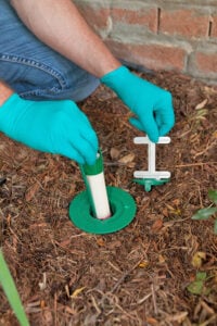 A termite bait station being installed in the ground