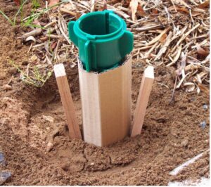 Termite bait rod wrapped in cardboard in sandy soil