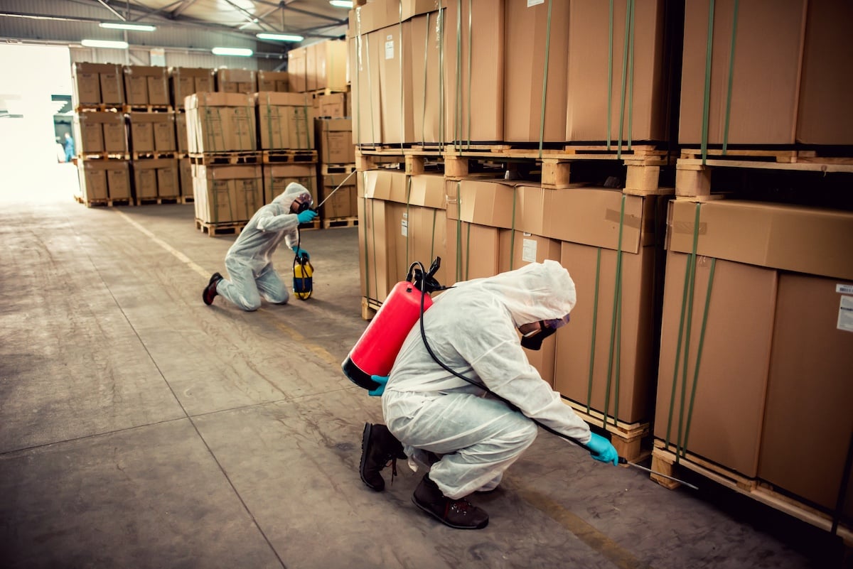 Pest Manager and trainee