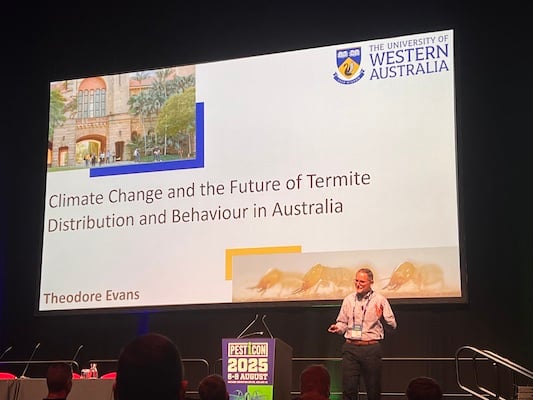 Theo Evans Termite Talk