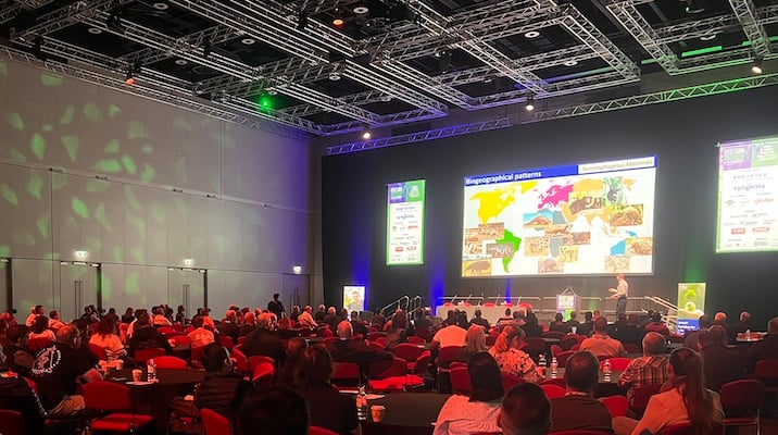 Theo Evans Termite Talk