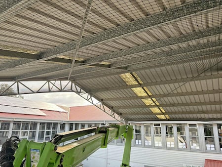 Bird netting on the ceiling of a commercial building