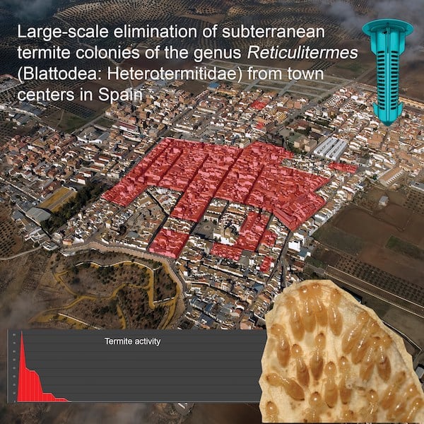 Town of Benamejí with a termite treatment area highlighted in red