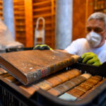 Inspecting old books damaged by drugstore beetle