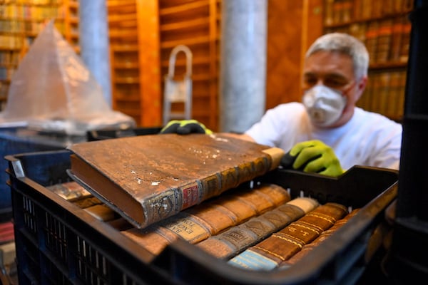 Inspecting old books damaged by drugstore beetle