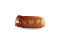 Cockroach egg case (ootheca)