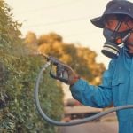 A pest manager using a Sundstrom SR100 half-face respirator with particle and gas filters (photo credit: Affordable Pest Control)