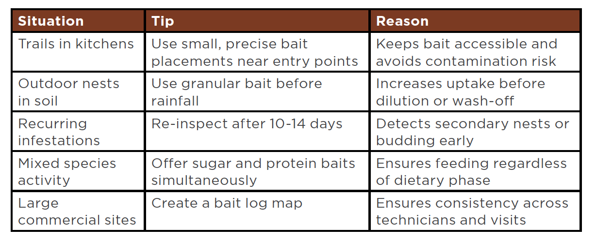 Tips for ant control