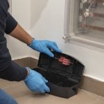 Rodent bait in bait station