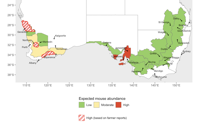 Map of reported mouse abundance (May 2026)