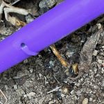 Close up of a purple tube with a hole and clear liquid coming out