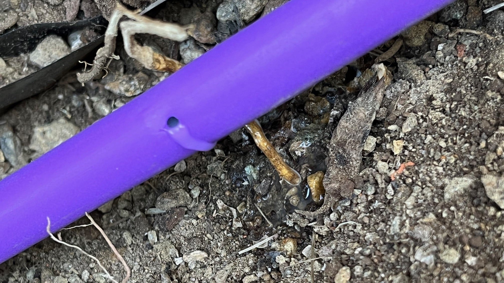 Close up of a purple tube with a hole and clear liquid coming out