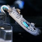 Car engine electrical wiring damage from rat