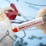 A test tube with a blood test for h5n1 avian influenza