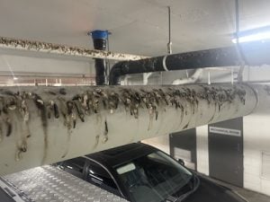A rafter above a car park showing mess made by birds
